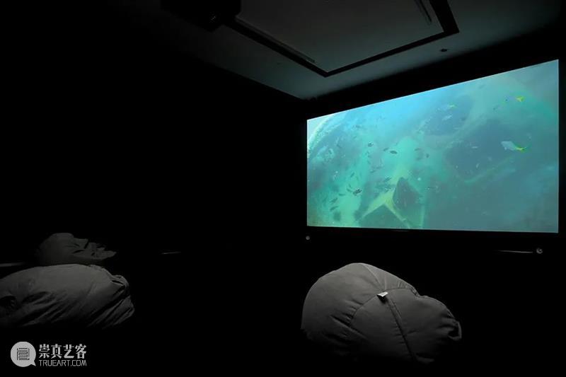 SGA 上海 |「靡菲斯特的舞步」正在展出 On View 视频资讯 SGA SGA 上海 View 靡菲斯特 舞步 堡垒 曹雨 陈荣辉 陈若璠 丢勒 崇真艺客